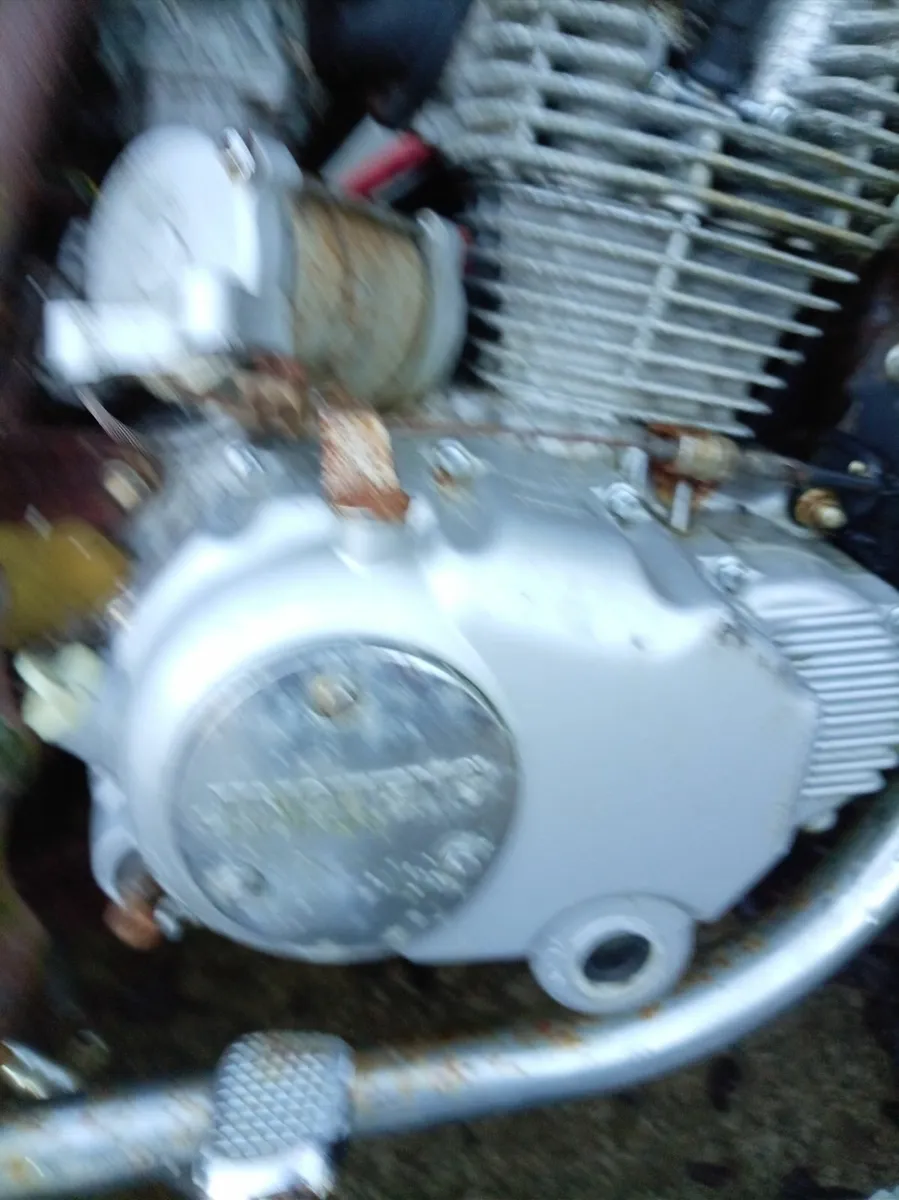 Garage clear out - Image 4