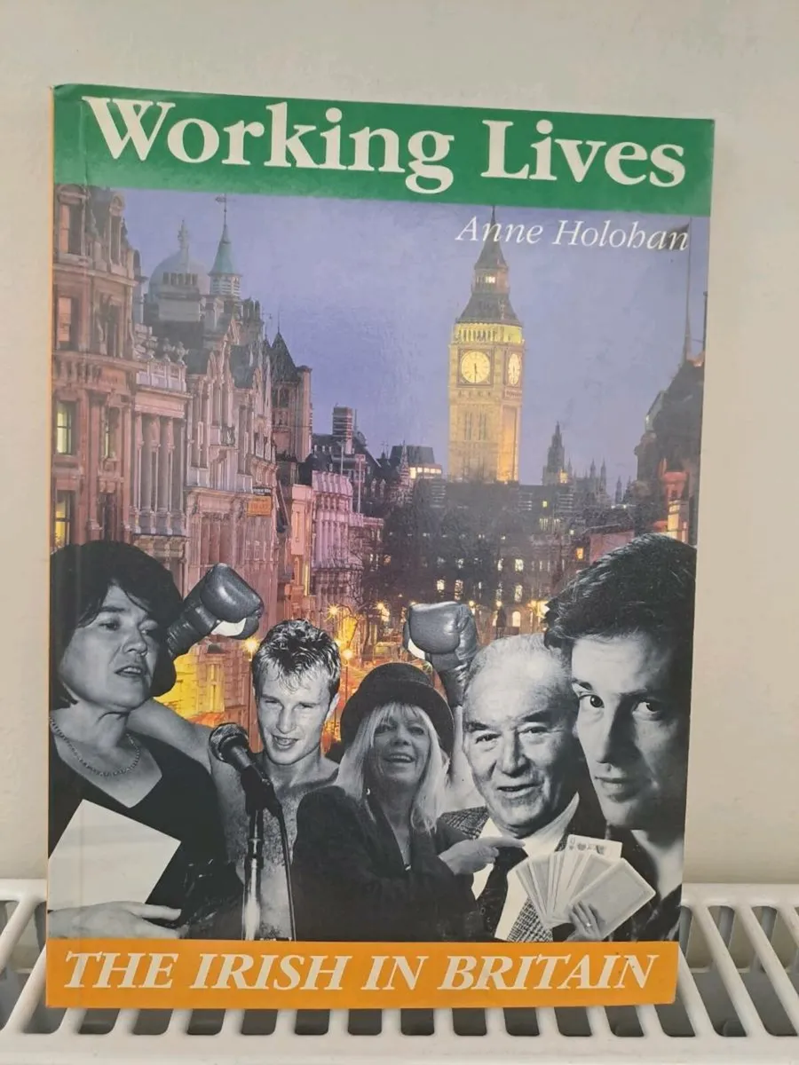 Working Lives: The Irish in Britain 1st ed - Image 1