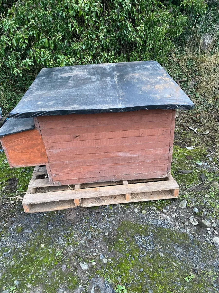 Chicken coop - Image 1