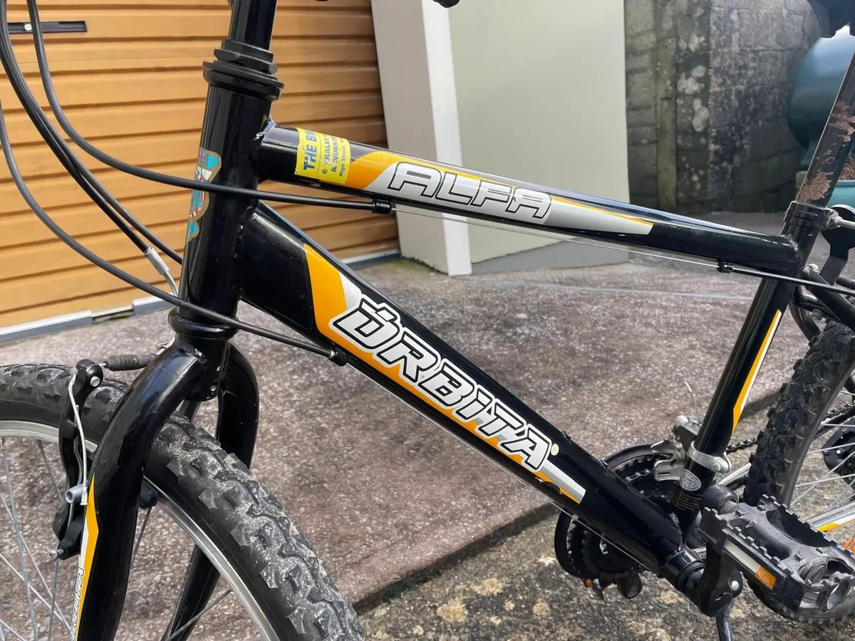 Children's Bike For Sale - Órbita Alfa - Image 2