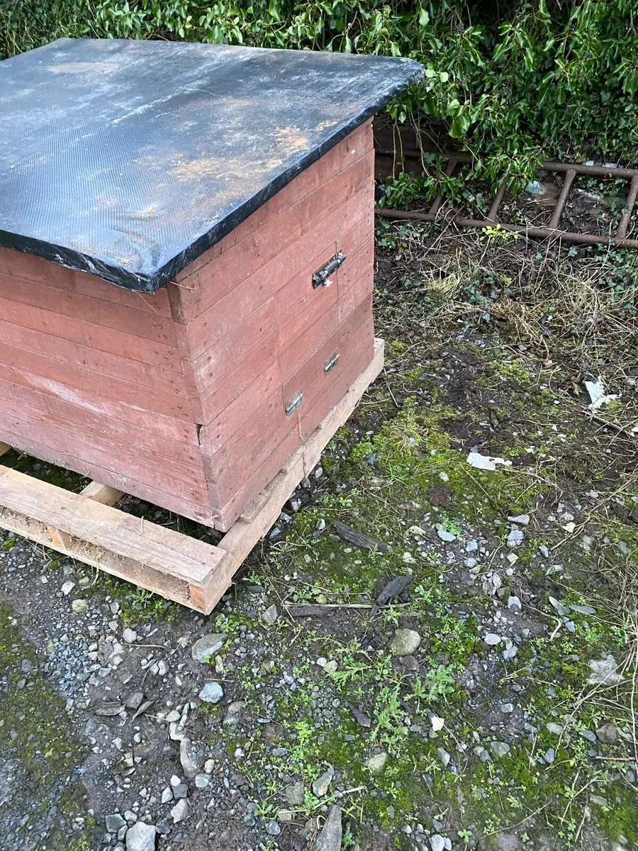 Chicken coop - Image 3