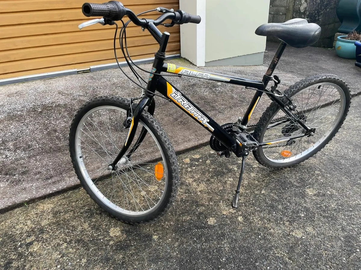 Children's Bike For Sale - Órbita Alfa - Image 4