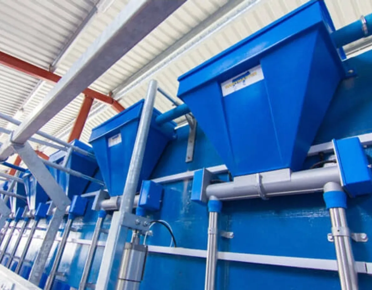 Parlour Feeders Wanted - Image 1