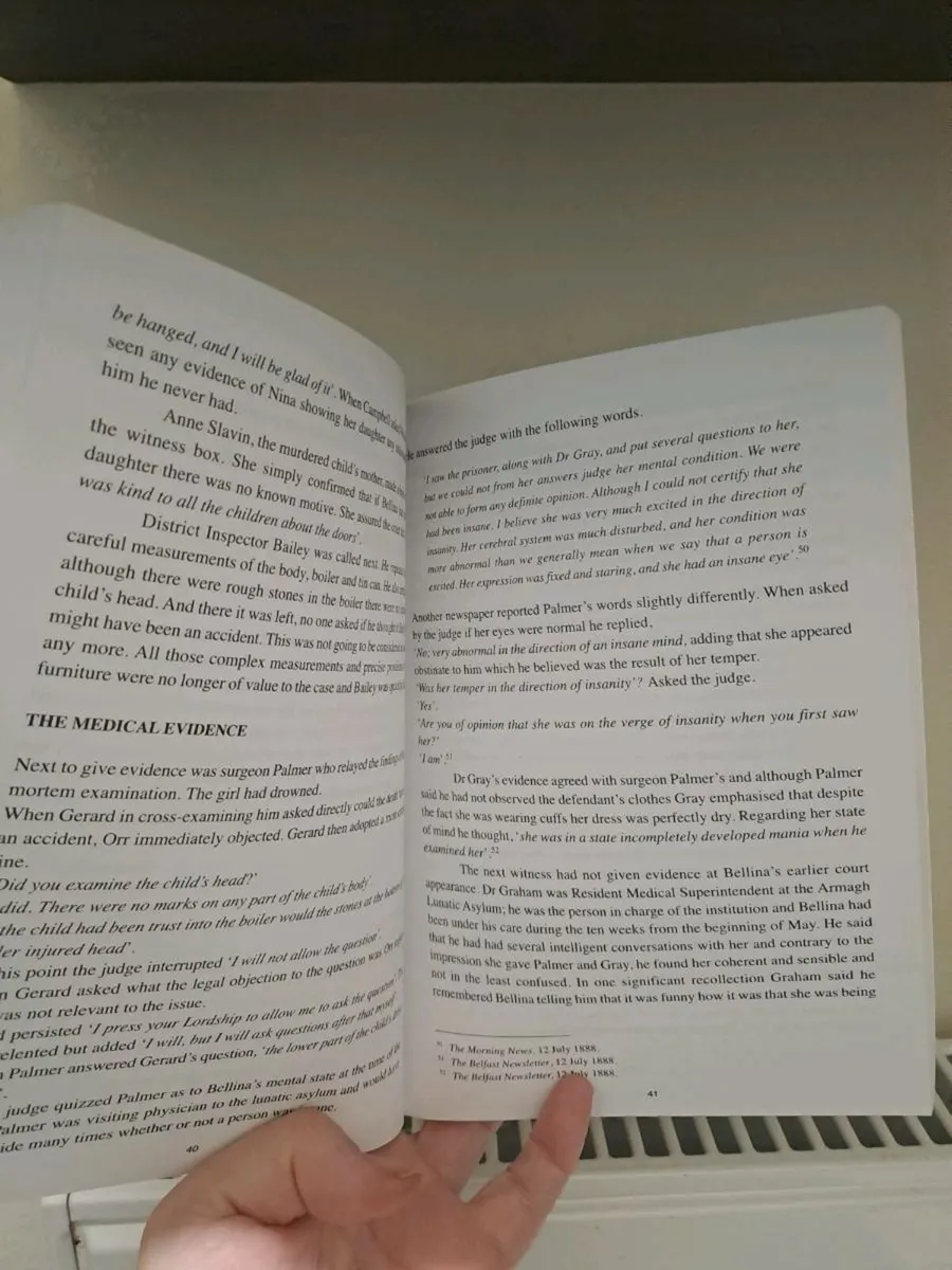 The Green Lady Mystery – Sean Barden - Image 3