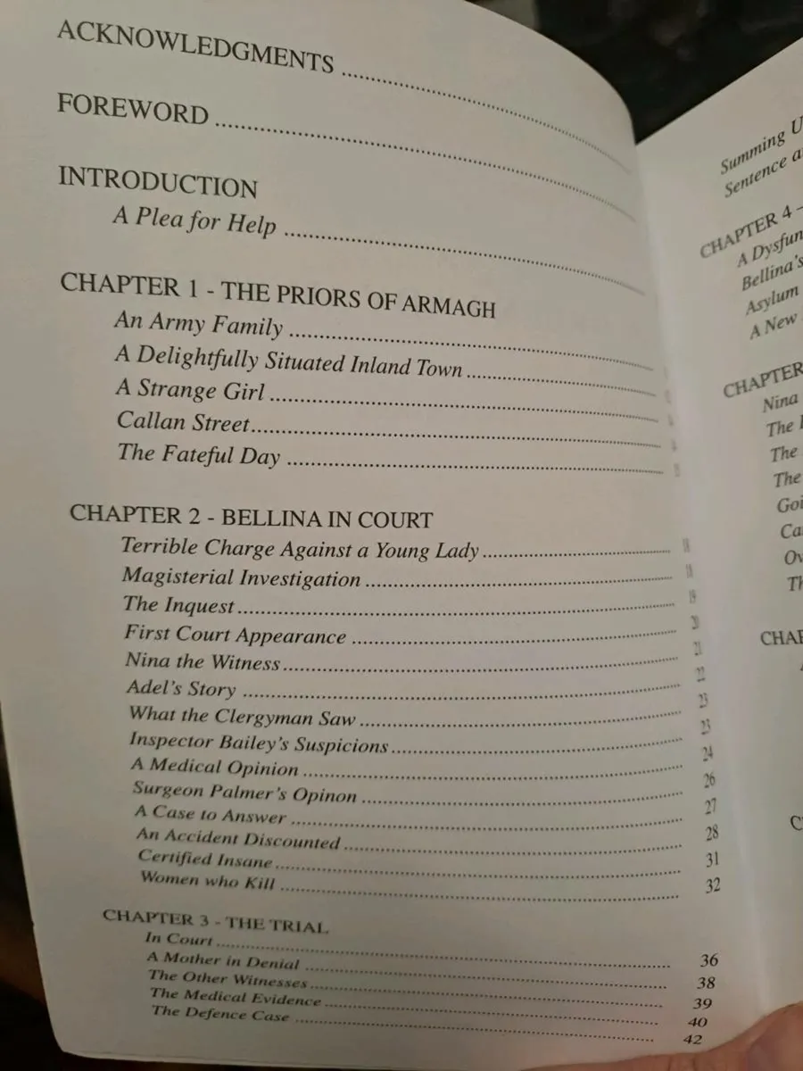 The Green Lady Mystery – Sean Barden - Image 4