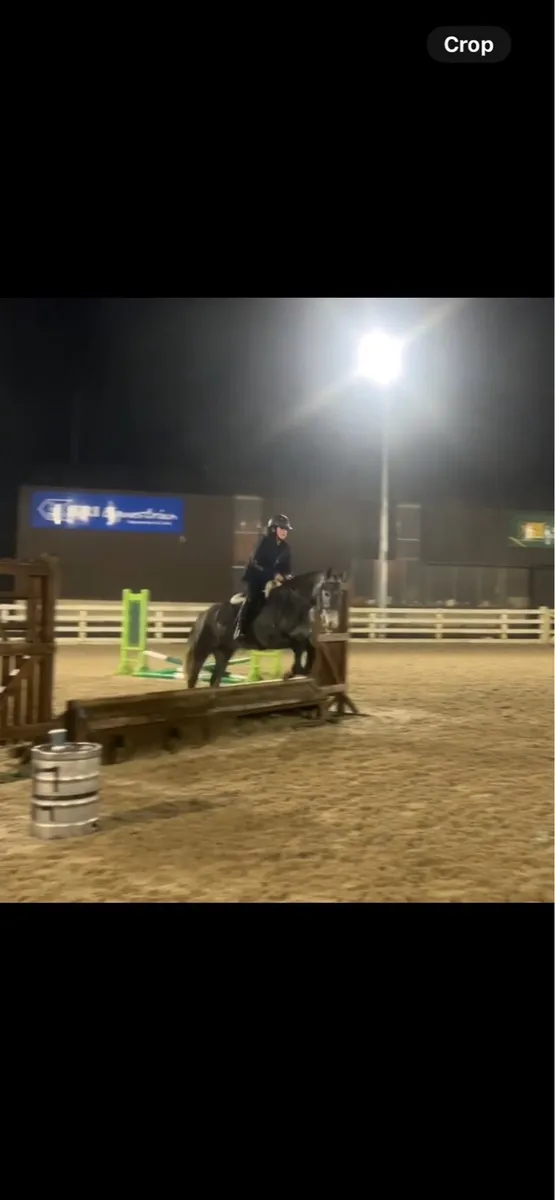 Potential top Connemara - Image 4