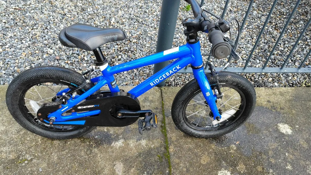 14 inch Ridgeback kids boke - Image 1