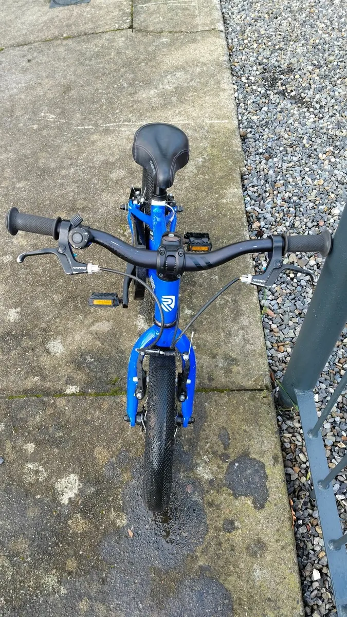 14 inch Ridgeback kids boke - Image 2