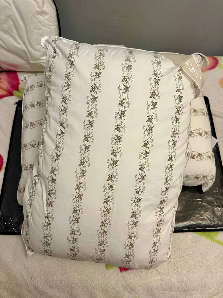 NEW 2 Pillows from JYSK (brand Tronfjellet) - Image 1