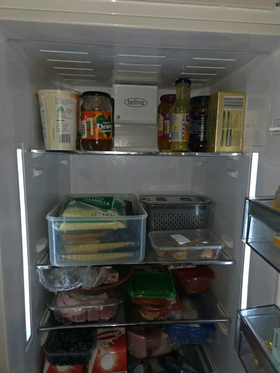 Integrated fridge freezer - Image 1