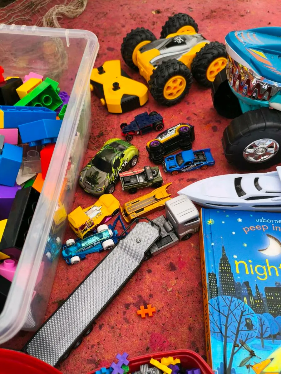 Lovely selection of good condition toys , books - Image 2