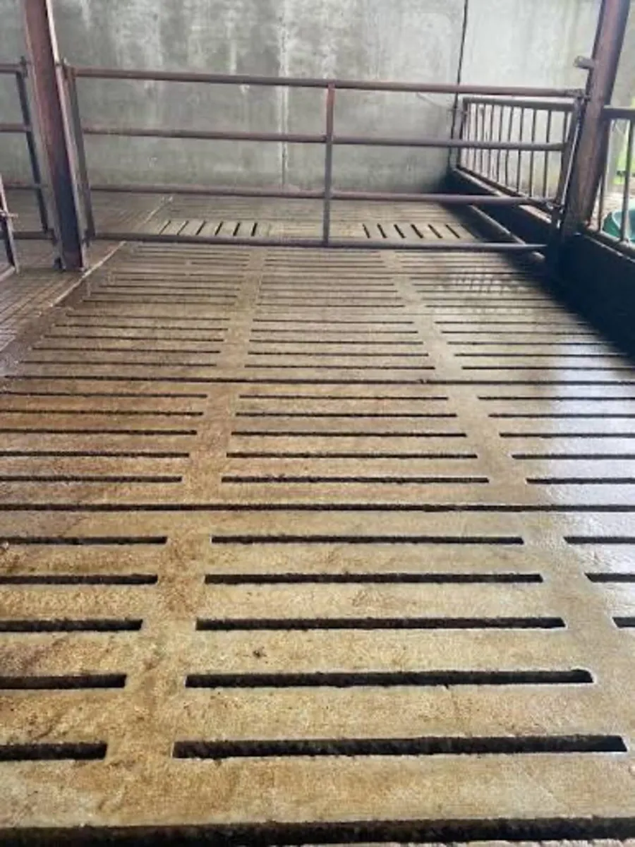 Power washing ≥neral maintenance - Image 1