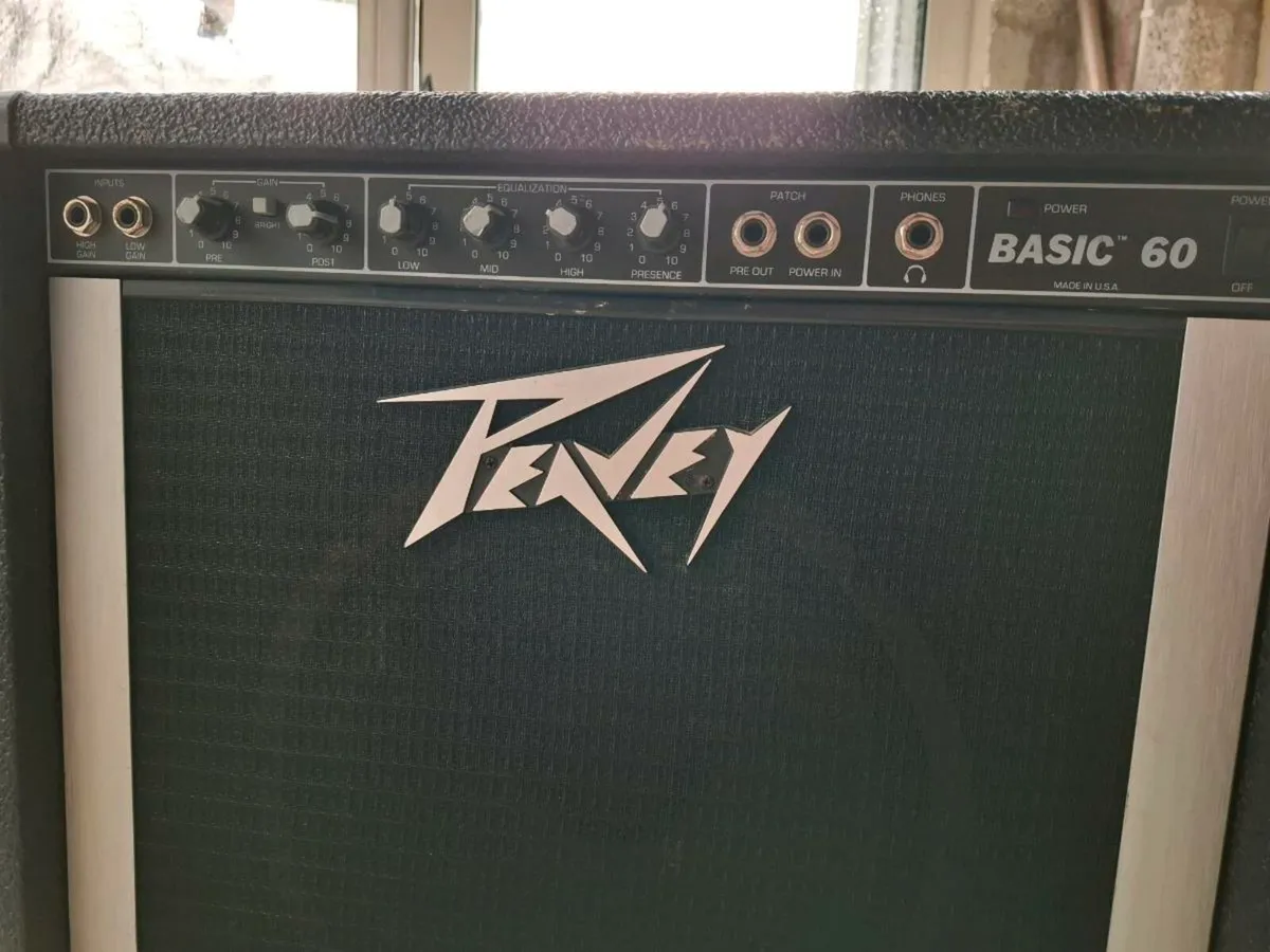 Peavey amp speaker - Image 4