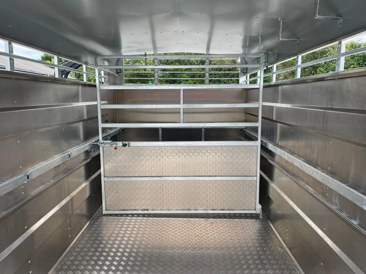 M-Tec Twin Axle 12ft Livestock Trailer - Image 4