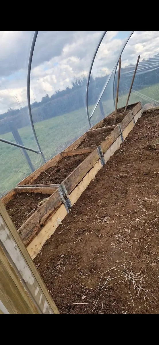 Pallet collars - Image 1