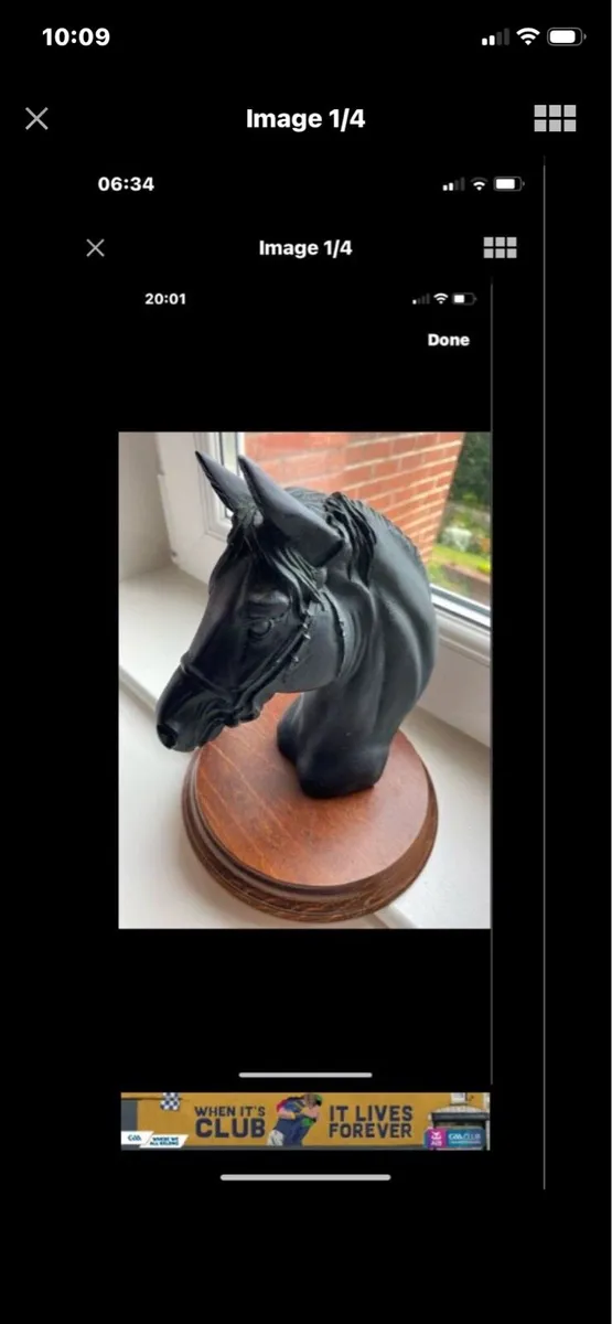 Vintage Horse Head Display - Image 1