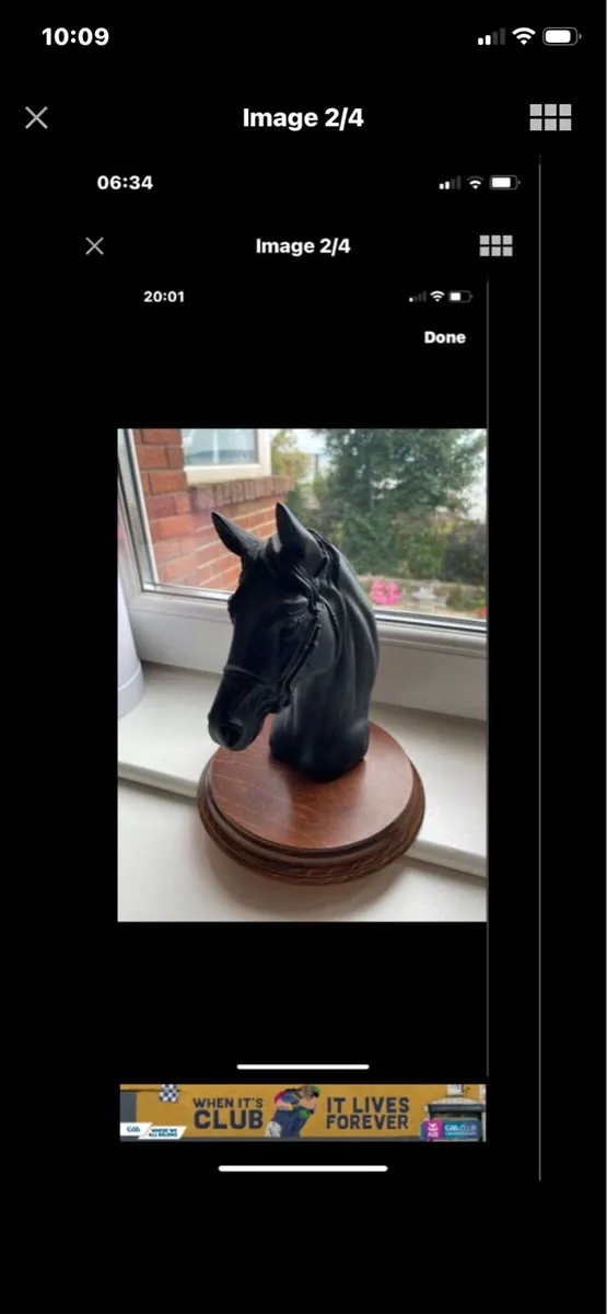 Vintage Horse Head Display - Image 2