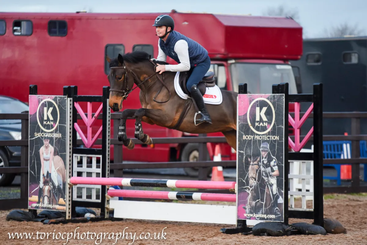 4yr old 15.3hh mare - Image 2