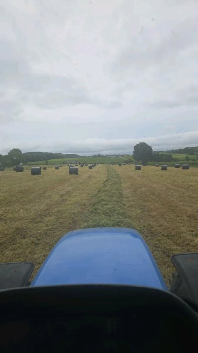 Bales of silage for sale