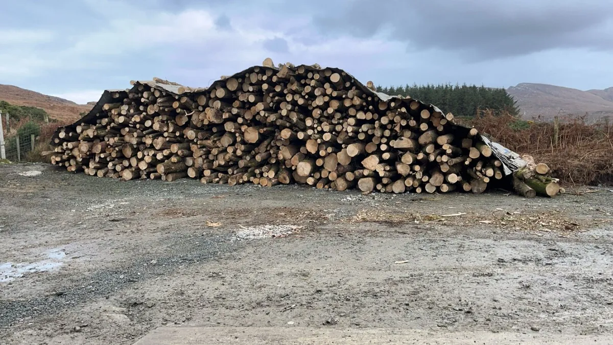 Kindling sticks - Image 3