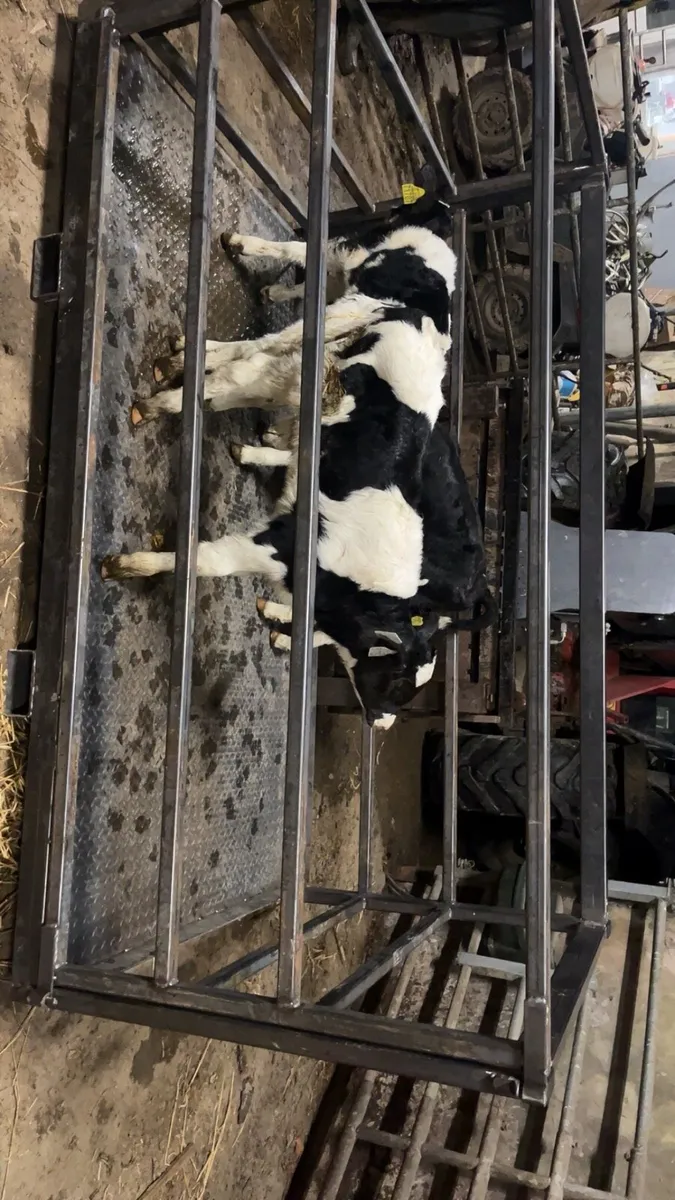 Calf crate / man basket - Image 2