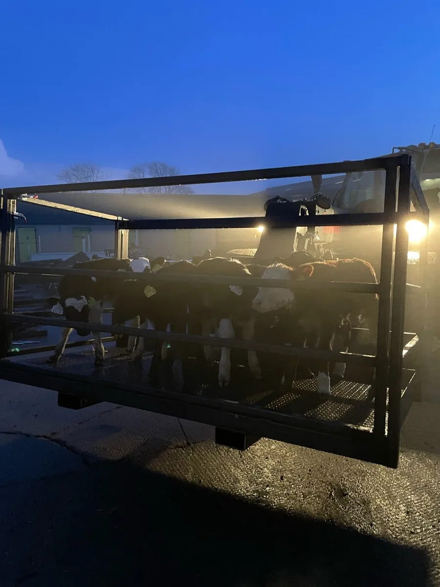 Man/calf basket - Image 1