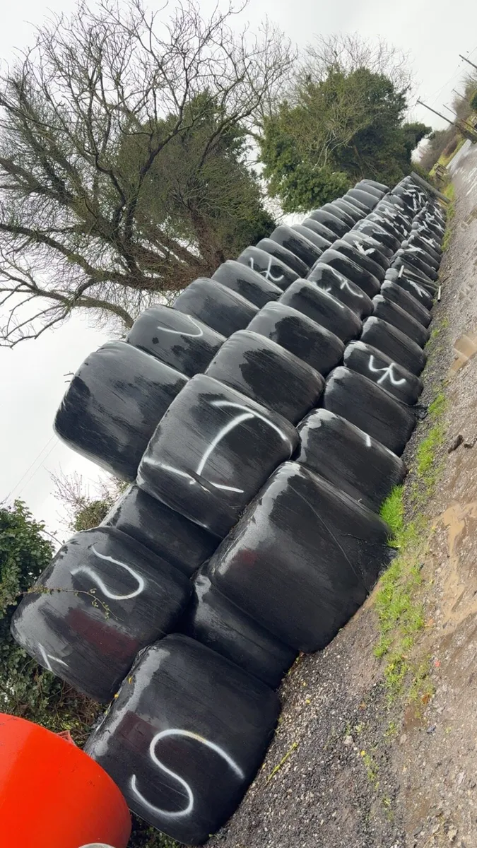 Silage bales - Image 1