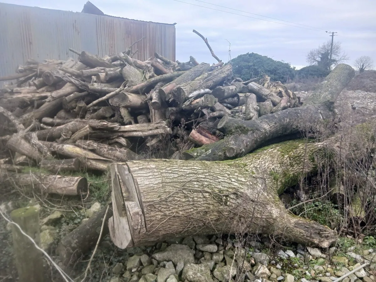 Timber for sale - Image 1