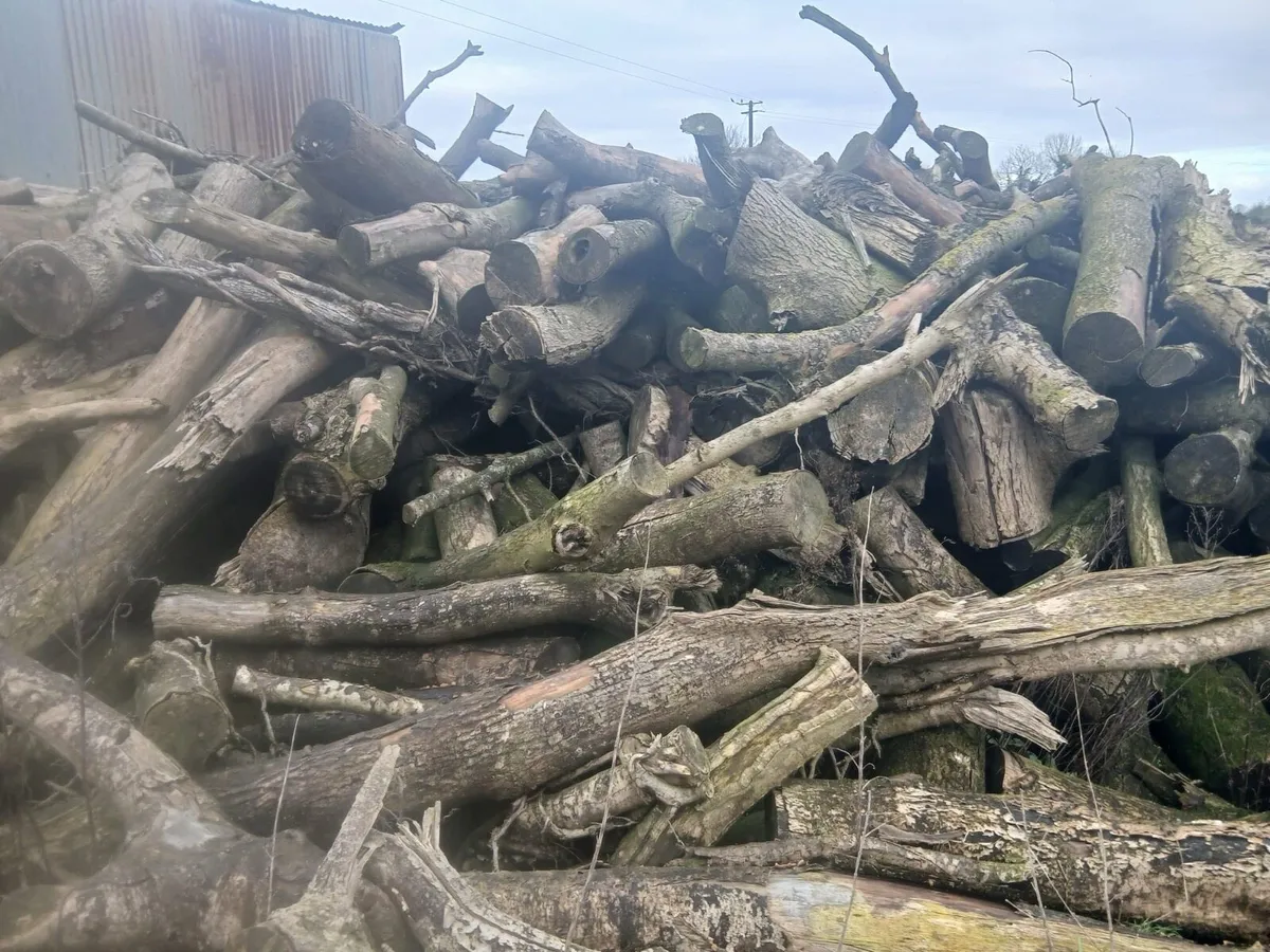 Timber for sale - Image 2