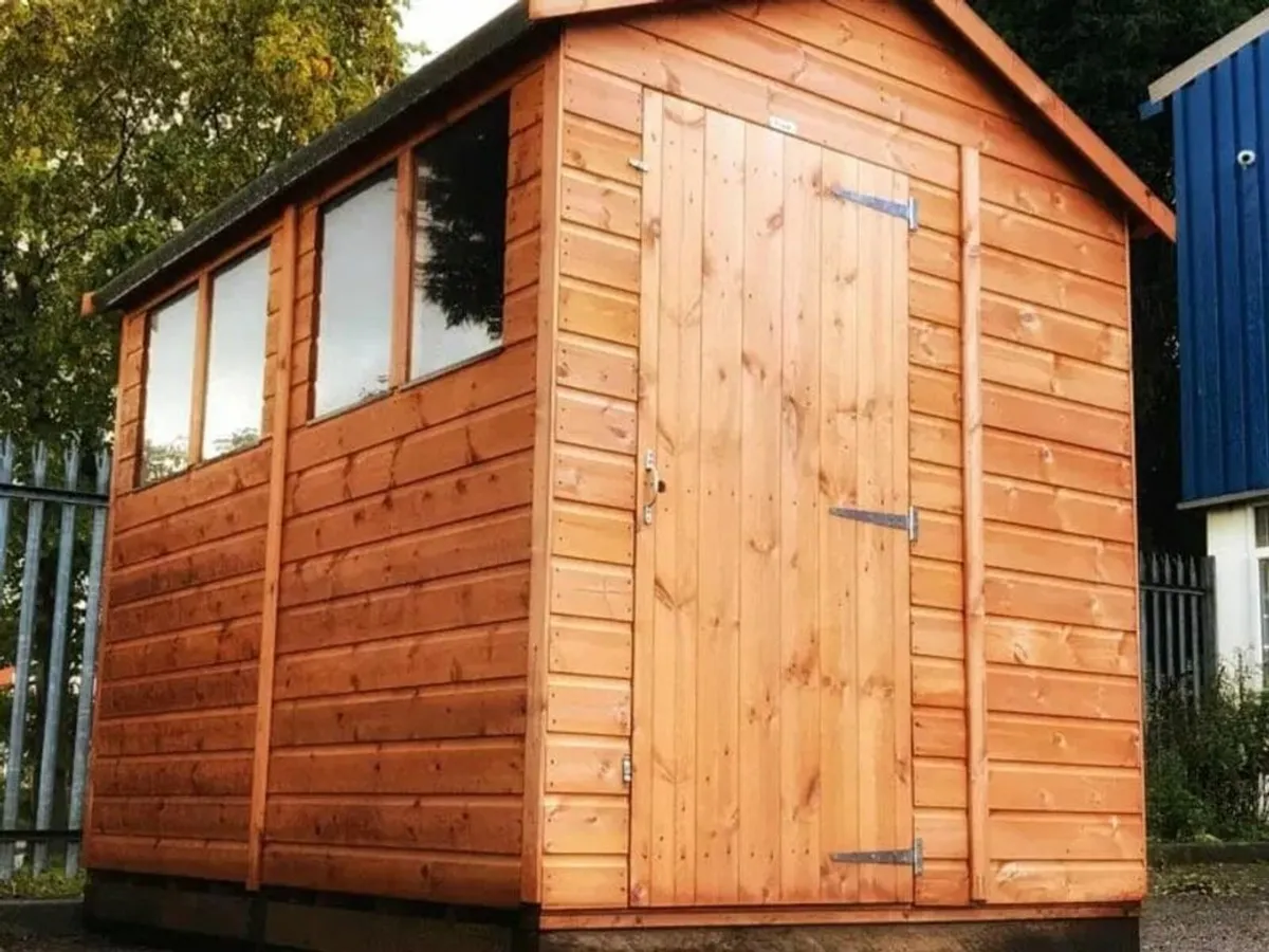 🪚 8×6T&G Apex Timber Garden Shed – In Stock - Image 3