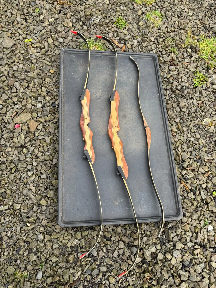 3 Adult Bows - Image 1