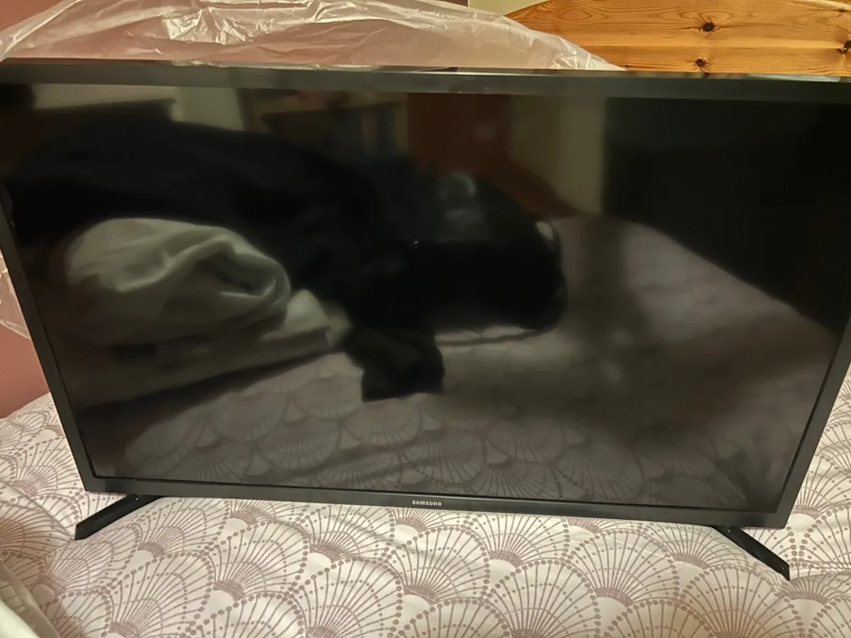 television - Image 1