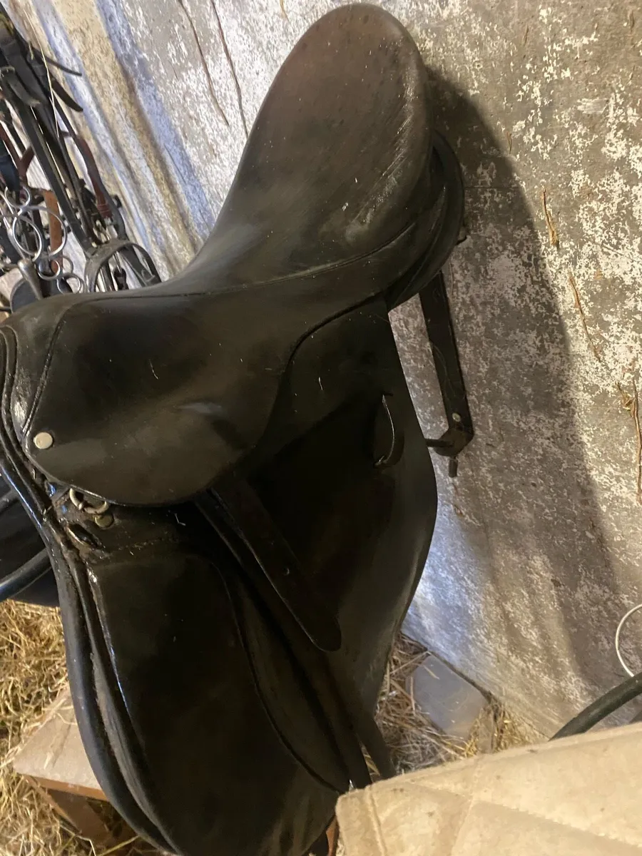 Saddle - Image 2