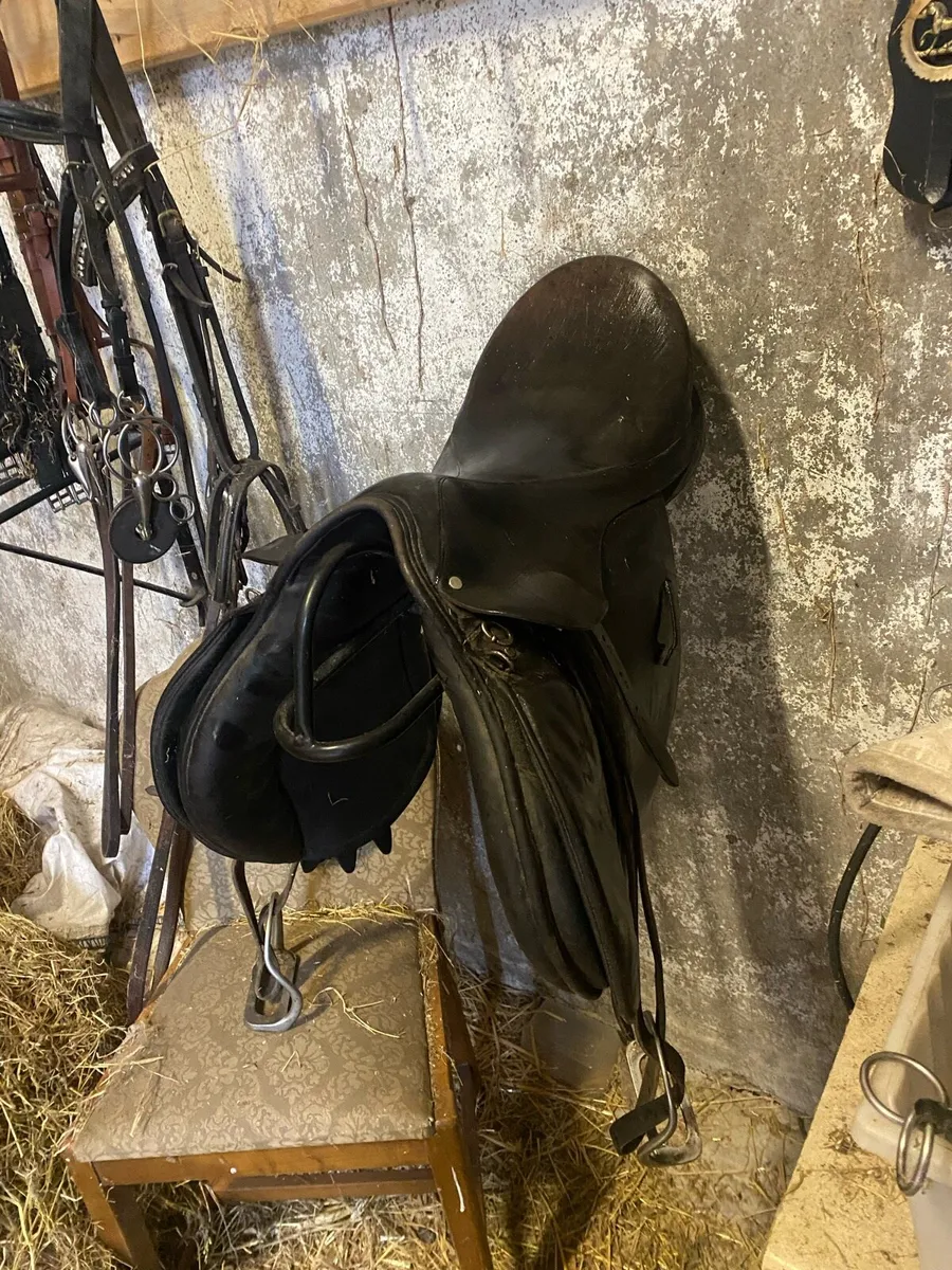 Saddle - Image 3