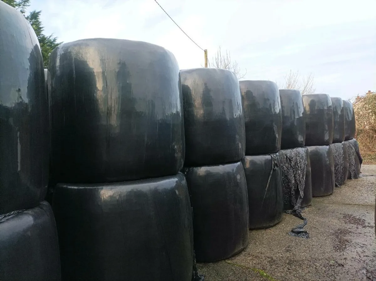 Silage Bales Ballymahon/Moyvore