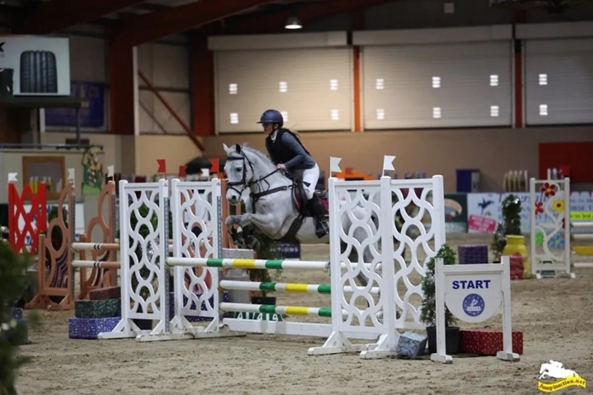 Jumping pony 14.2hh - Image 1