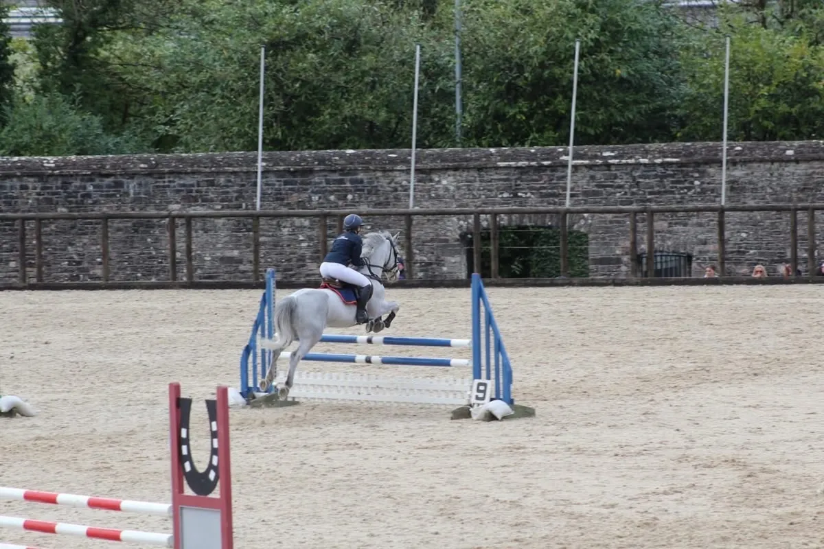 Jumping pony 14.2hh - Image 2