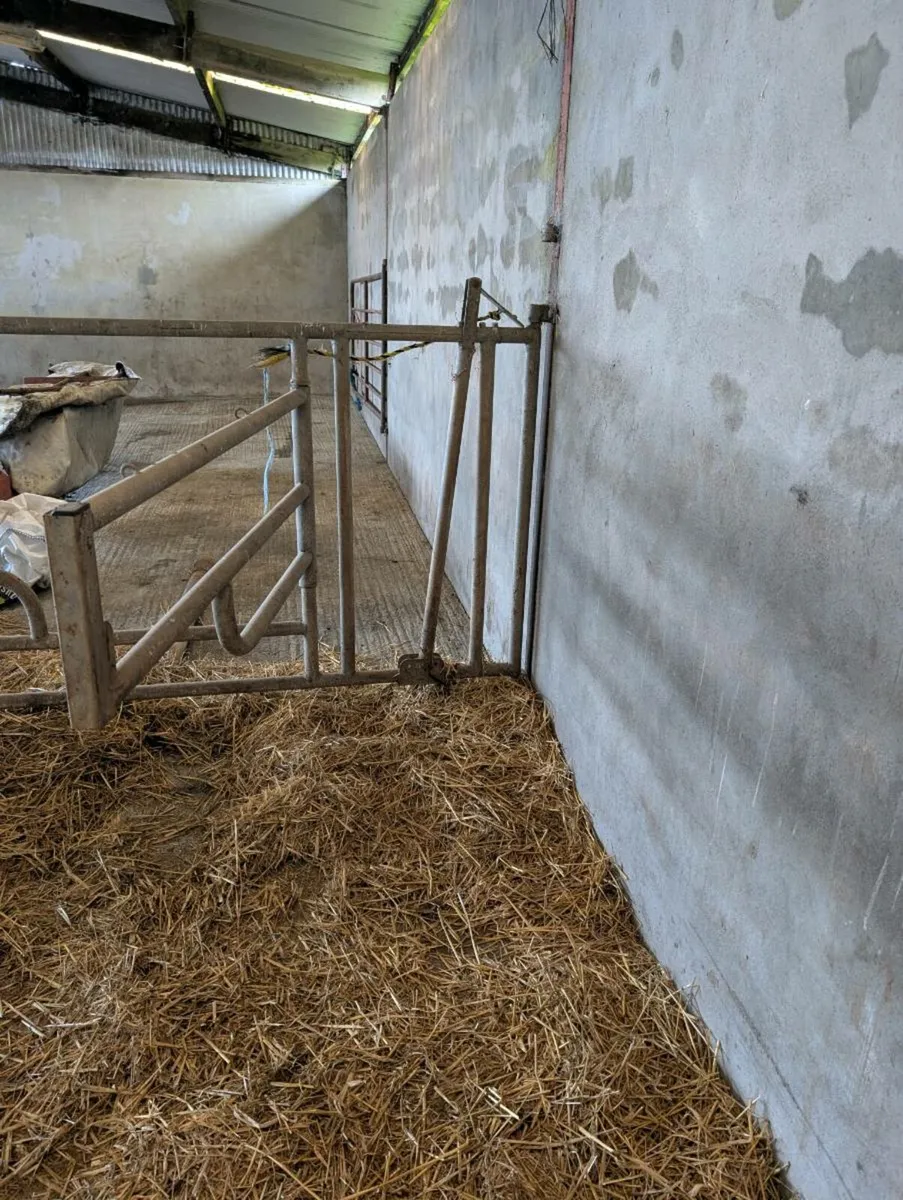 Calving gate - Image 1