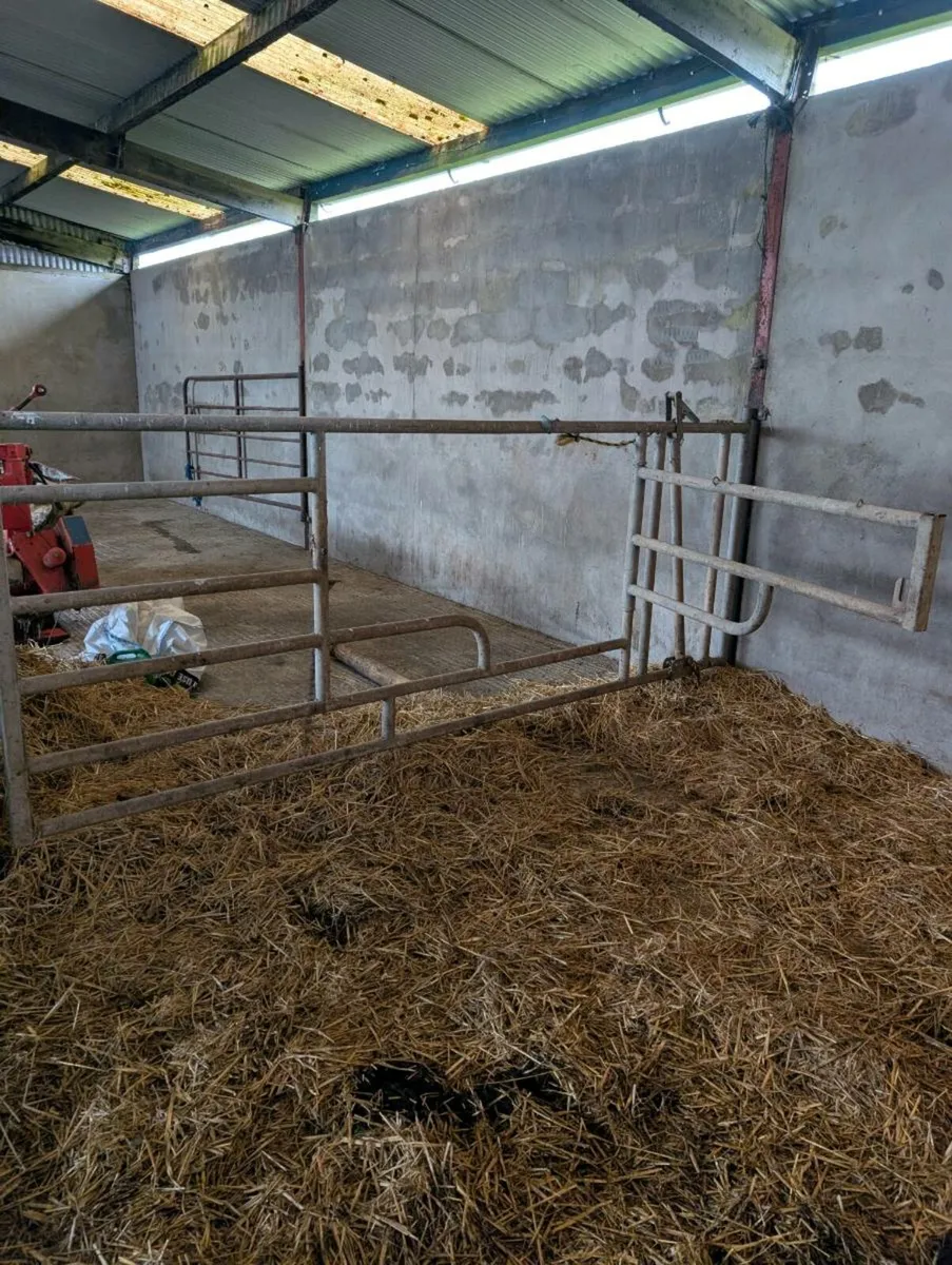 Calving gate - Image 2