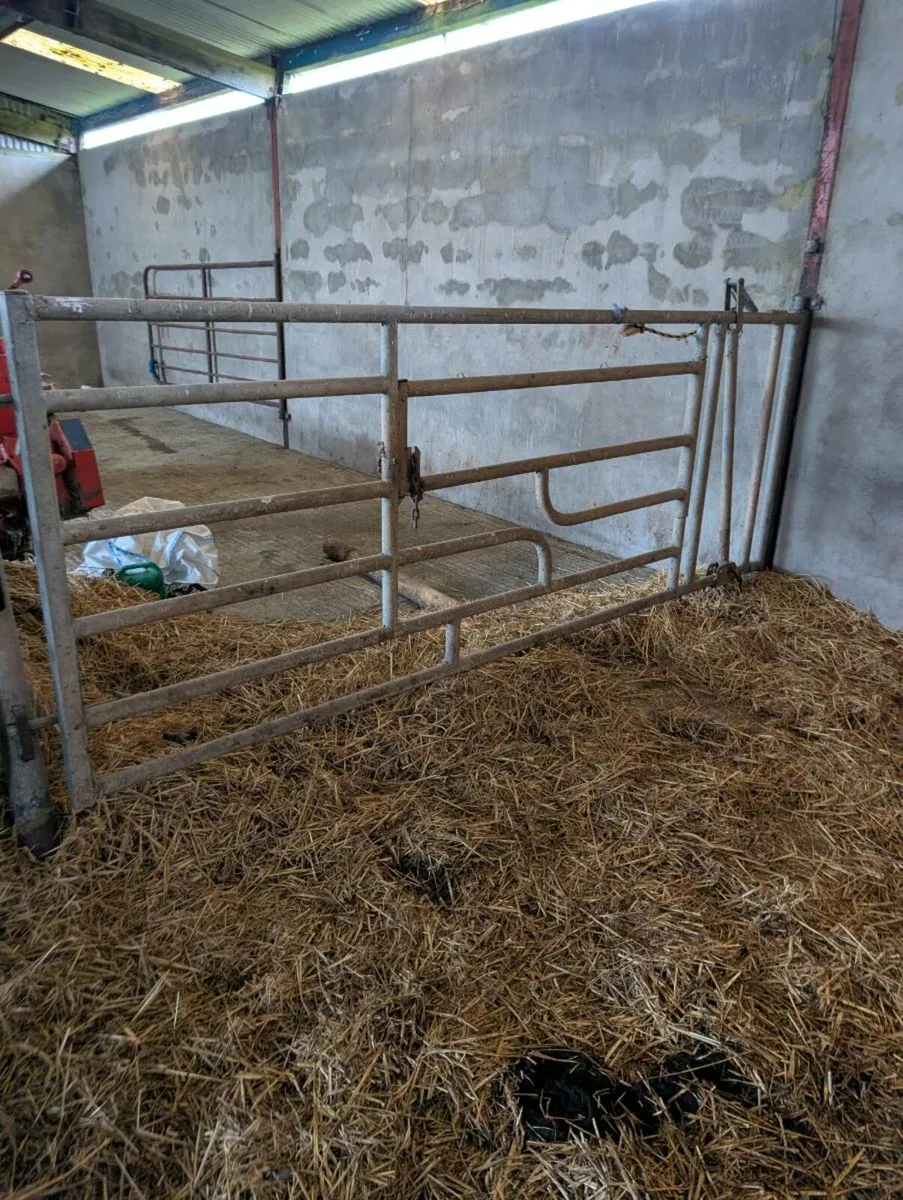 Calving gate - Image 3