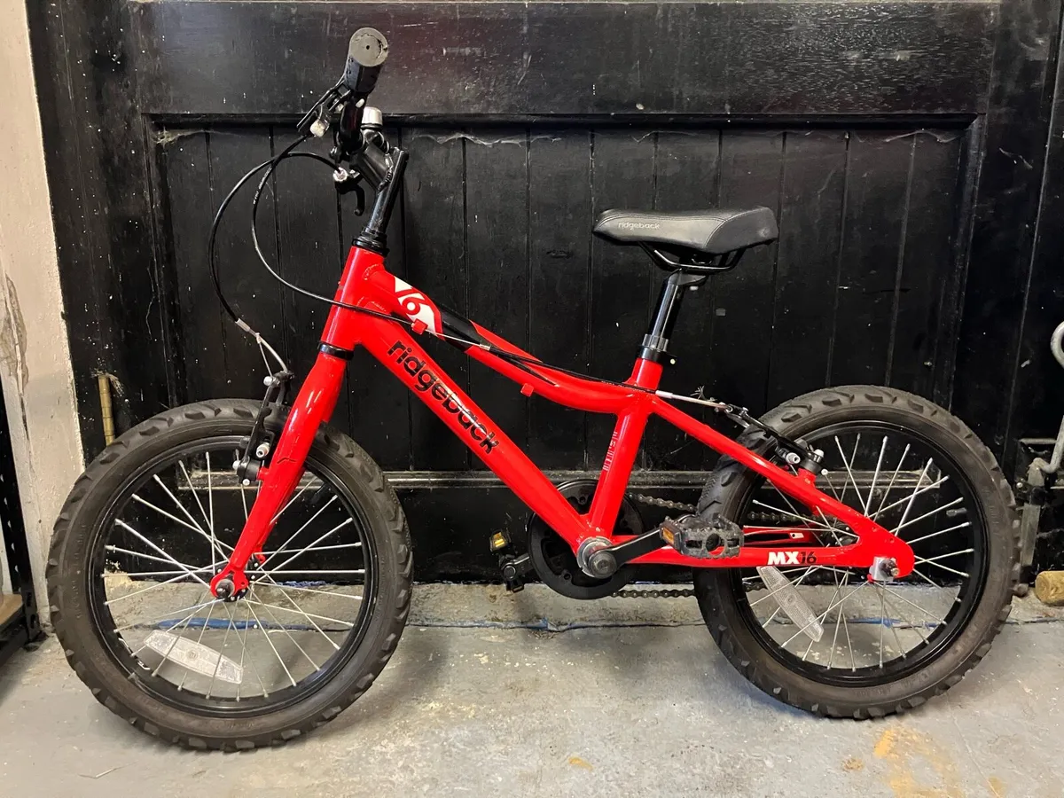 Ridgeback MX16 Bicycle - Image 1