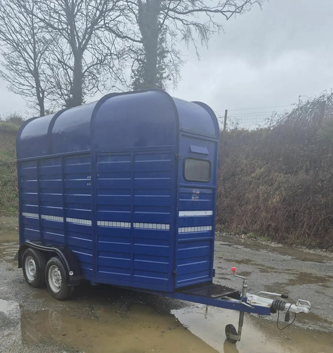 Mare & foal horsebox - Image 1
