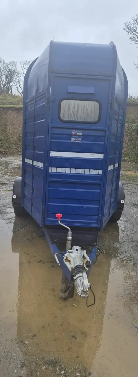 Mare & foal horsebox - Image 2