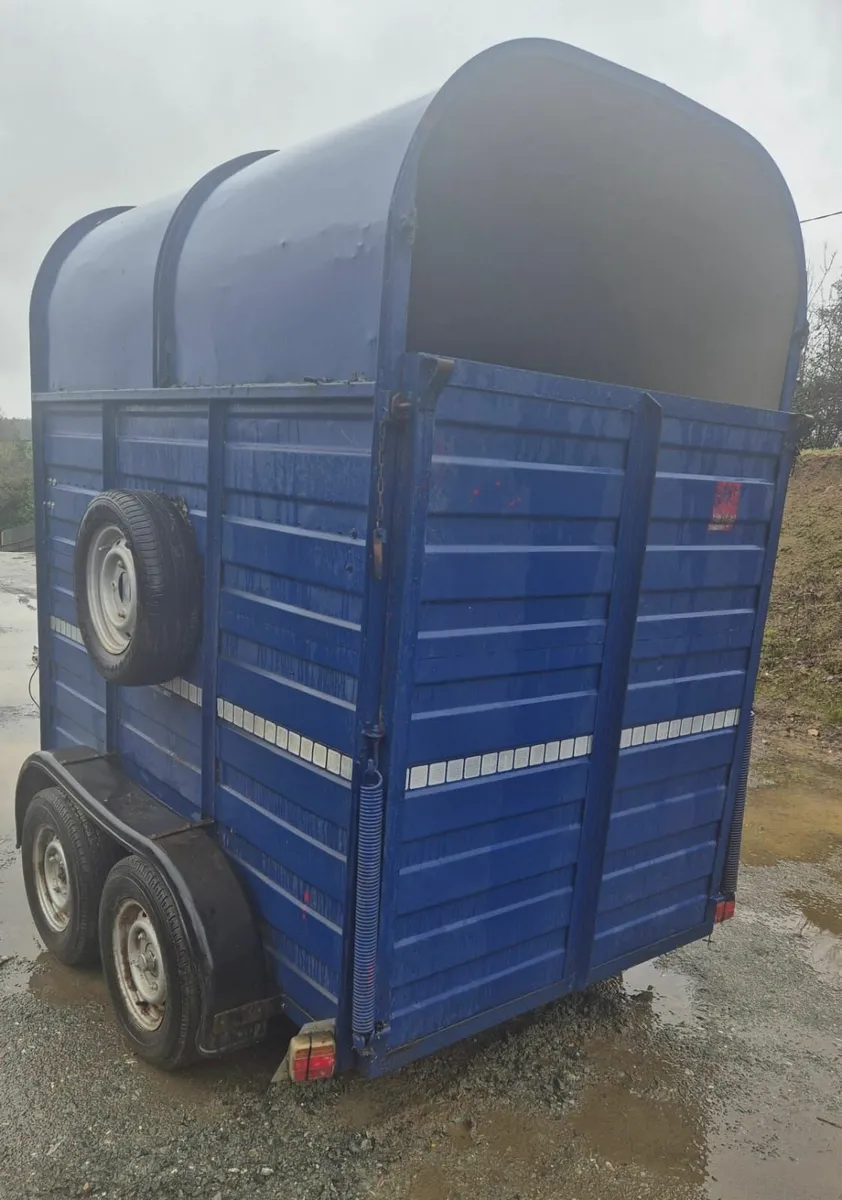 Mare & foal horsebox - Image 4