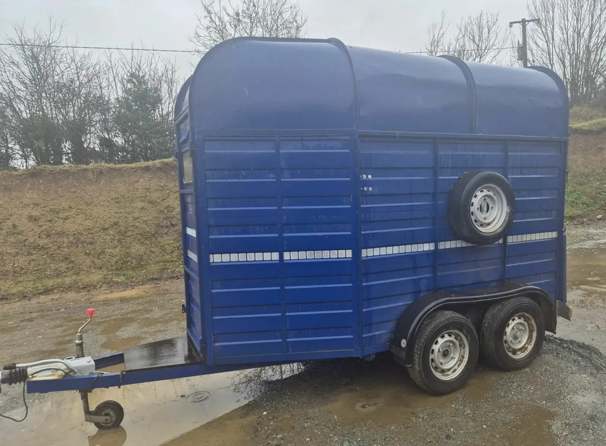 Mare & foal horsebox - Image 3