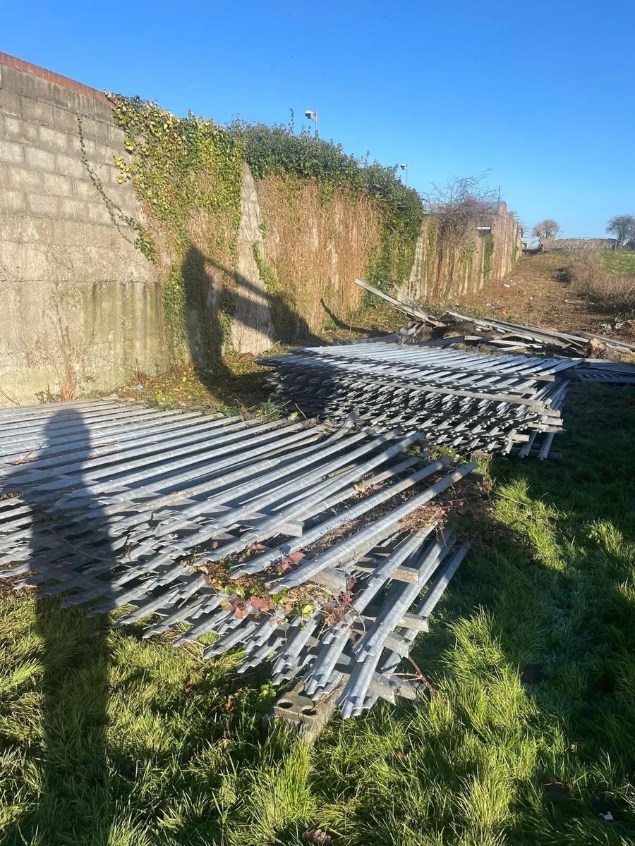 Palisade fencing - Image 2