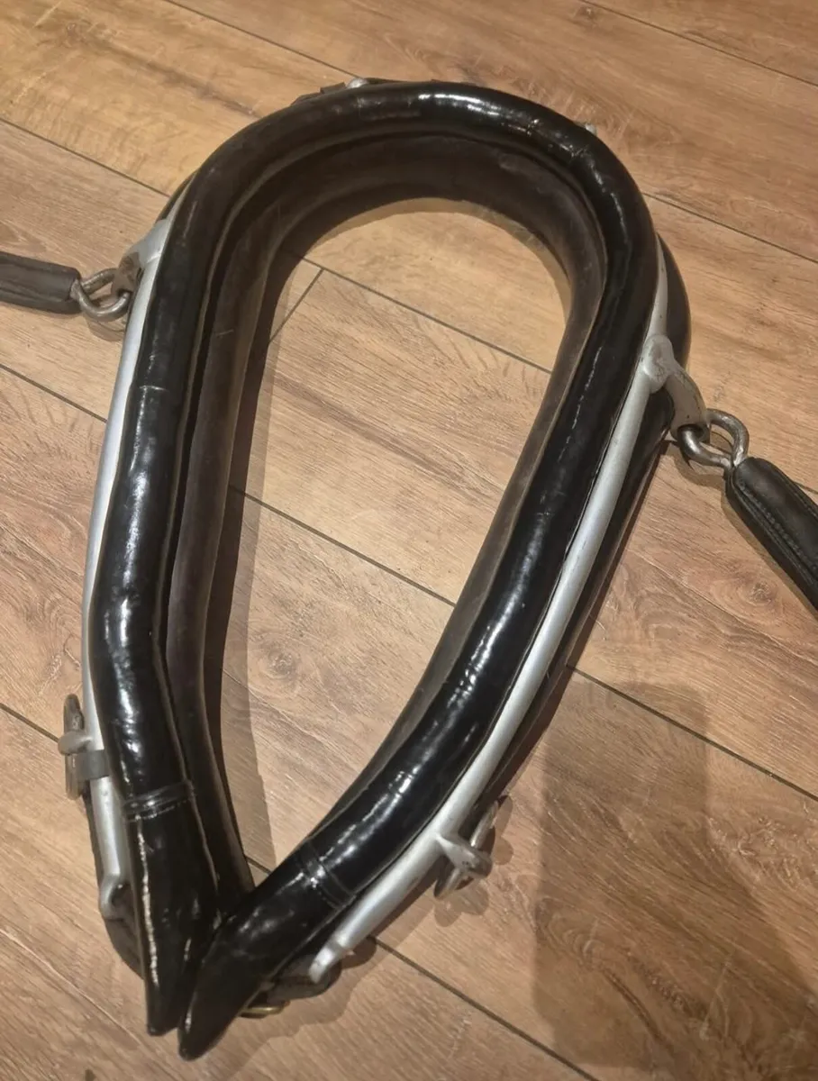 Patent leather driving collar - Image 1