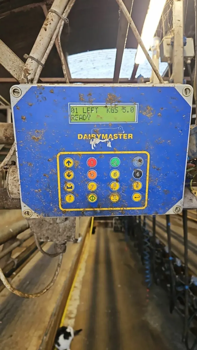 Dairymaster feeders - Image 2