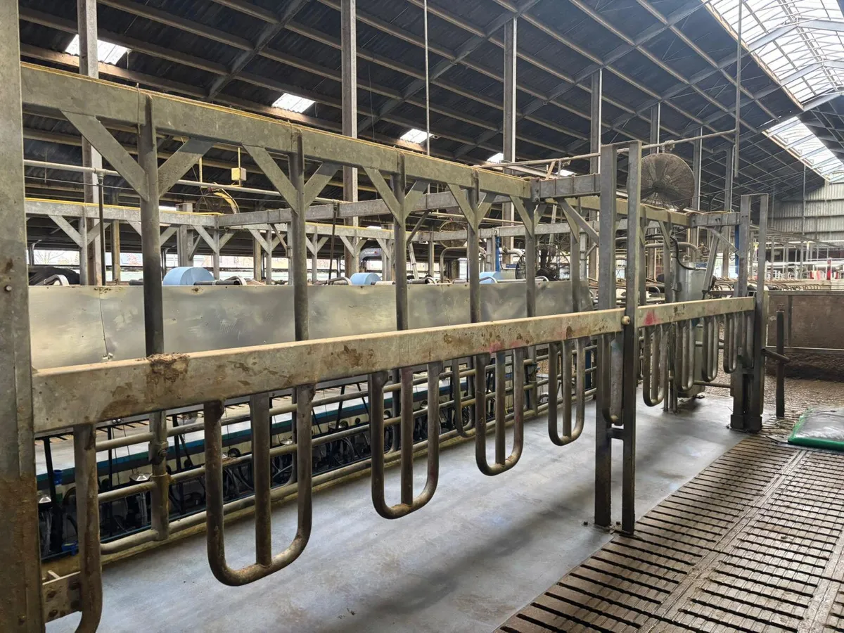 milking parlour - Image 3