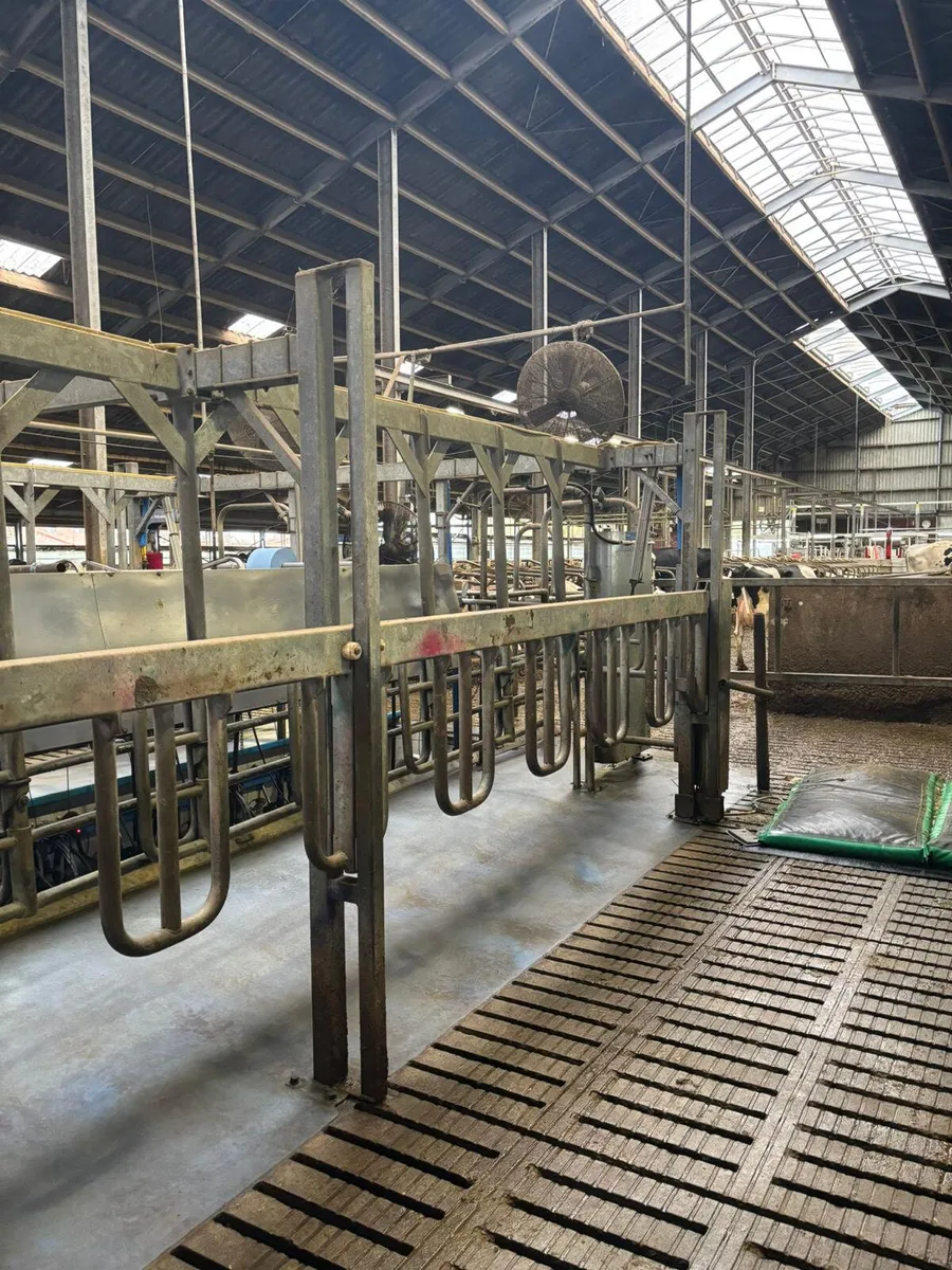 milking parlour - Image 2